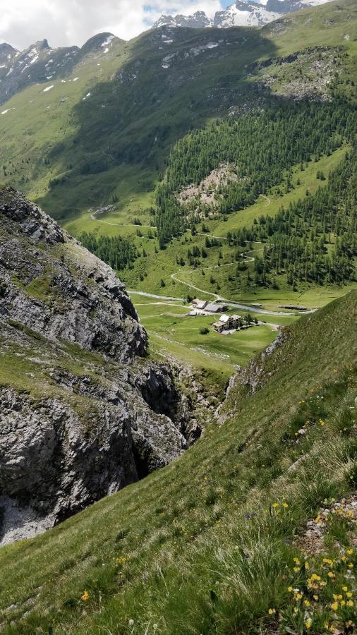 Hotel Fex Sils Maria Bagian luar foto